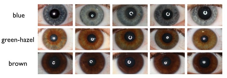 eyecolours