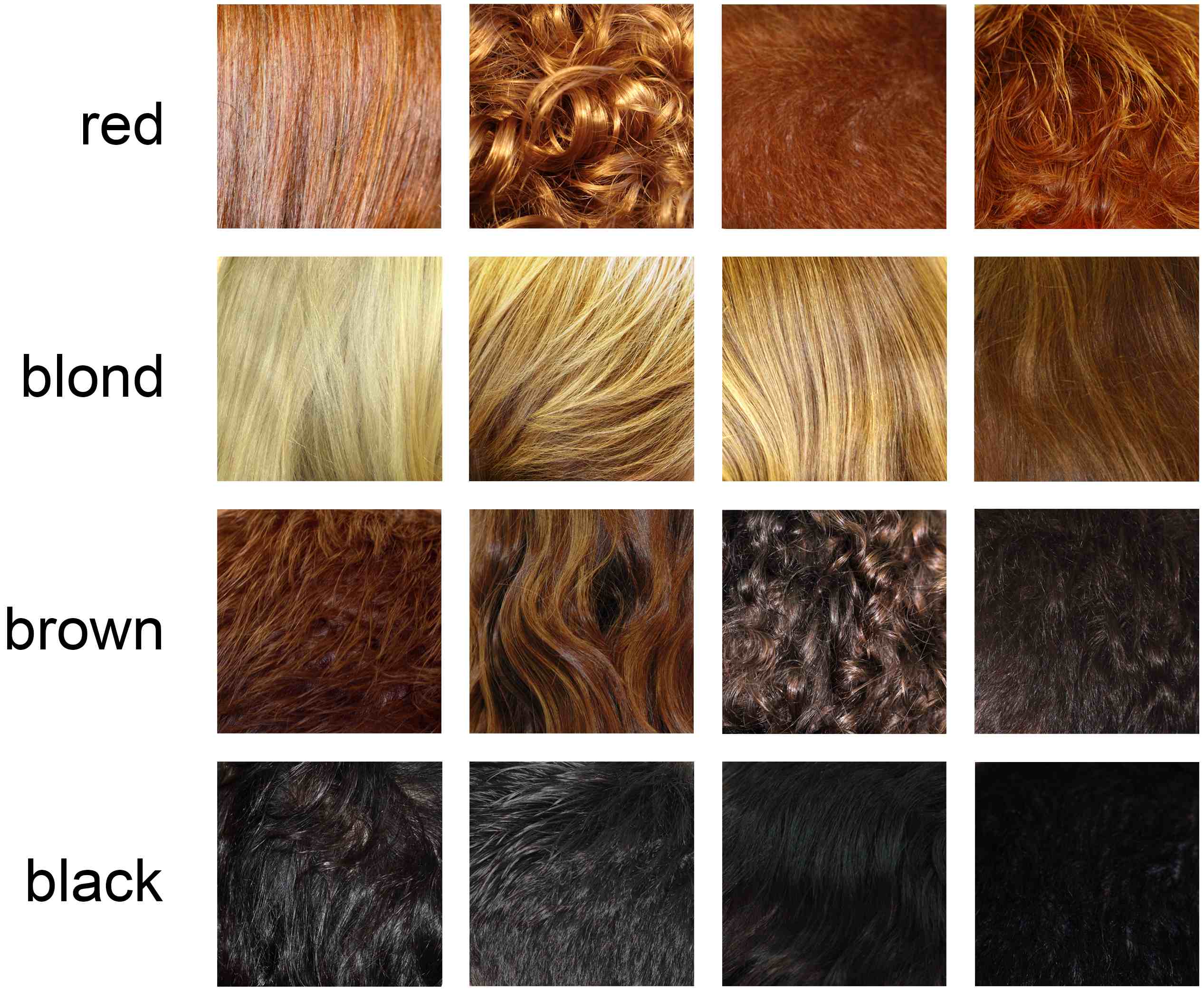 haircolours